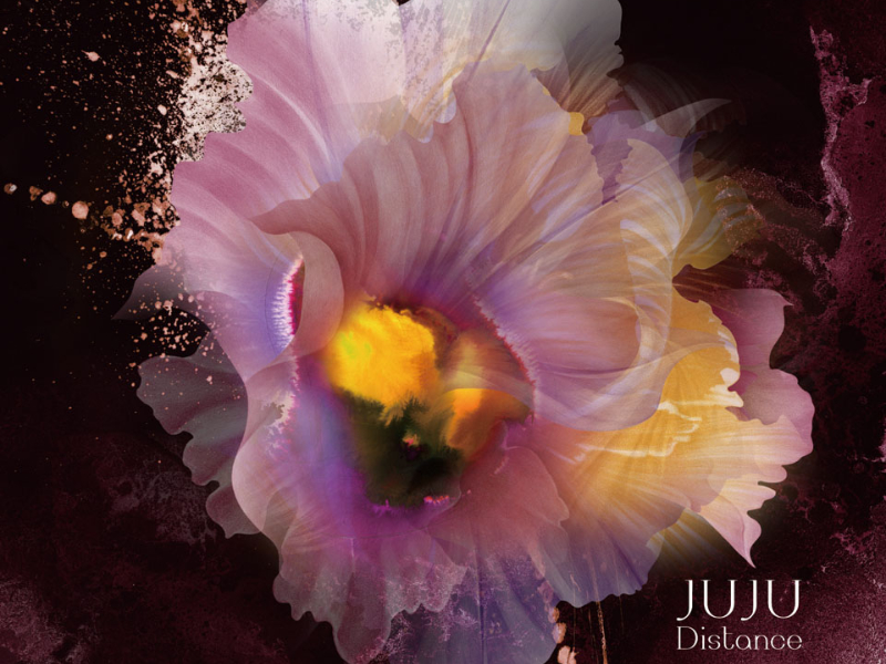 SONY MUSIC JUJU [Distance]