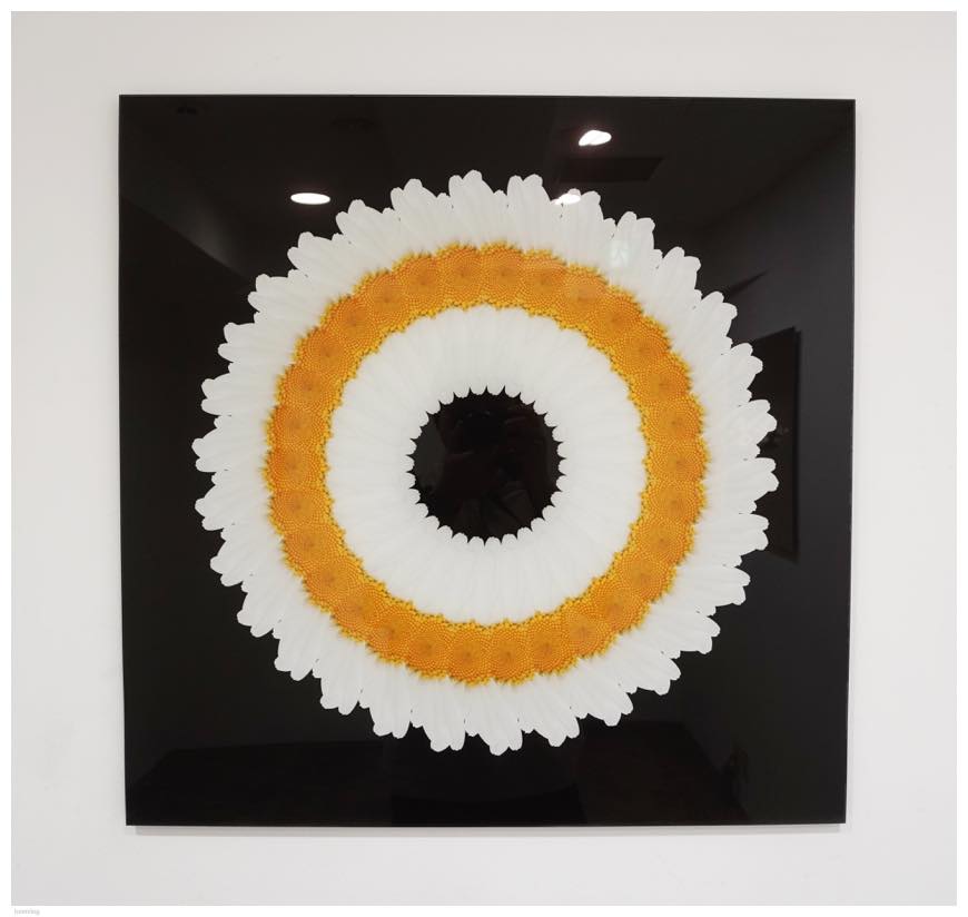 Mrs. Yuki 「ひとつのかたち」